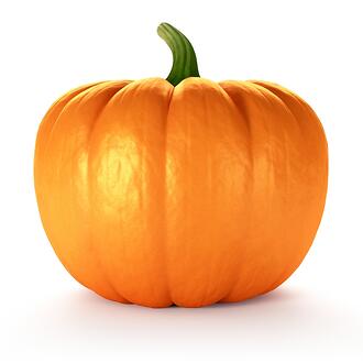 Pumpkin-327298-edited