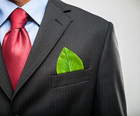 Sustainability practices in business